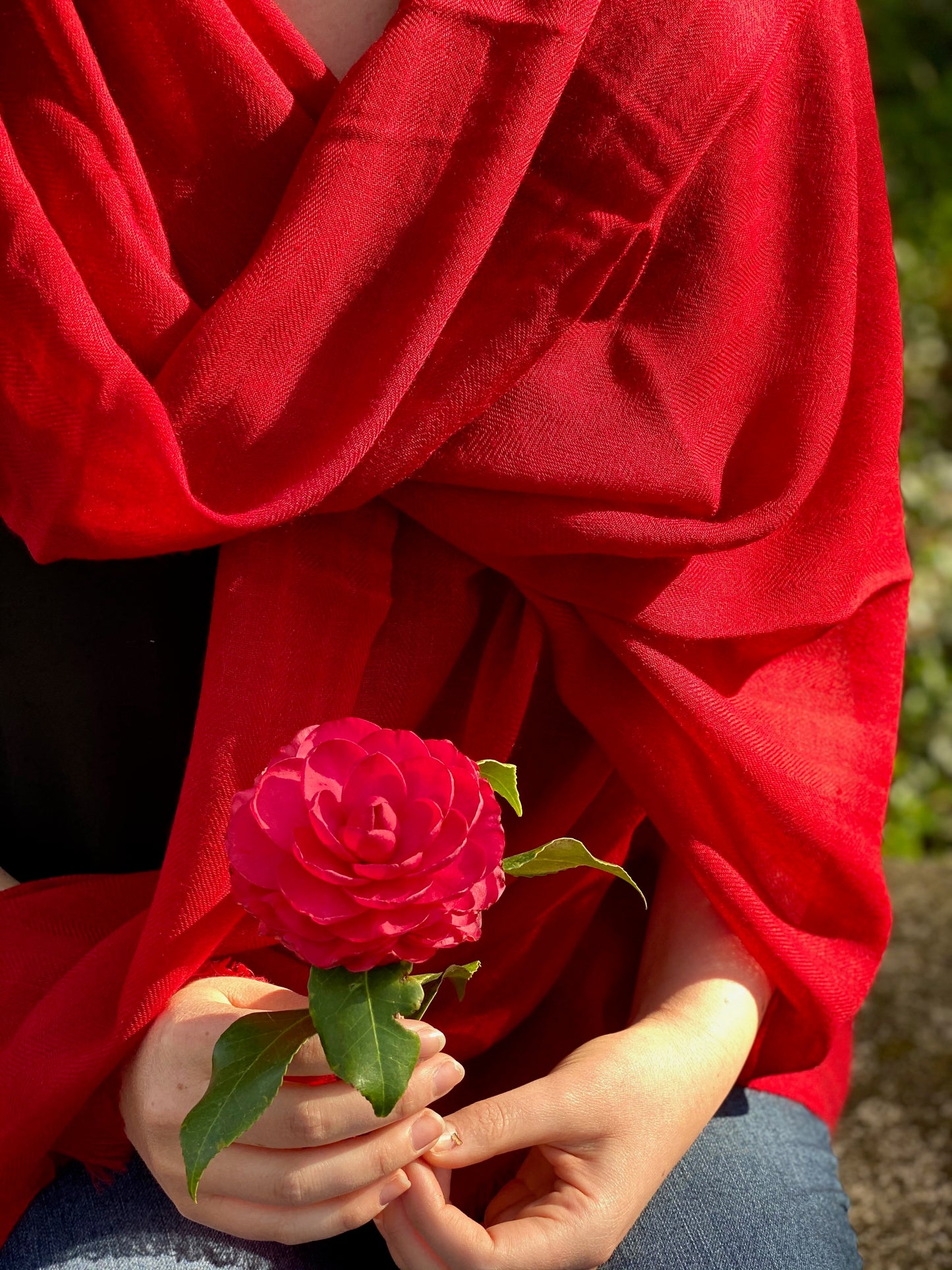 The Classic Pashmina